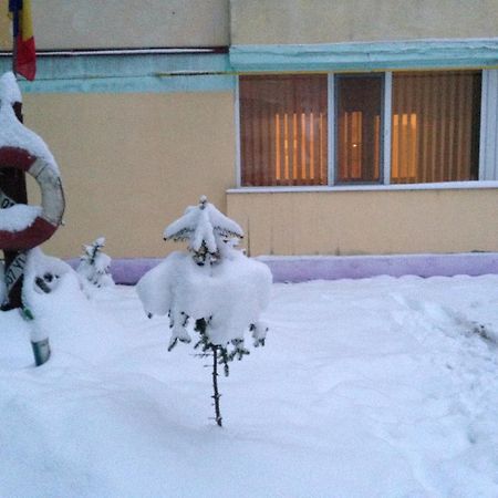 Apartament Slănic-Moldova Zewnętrze zdjęcie