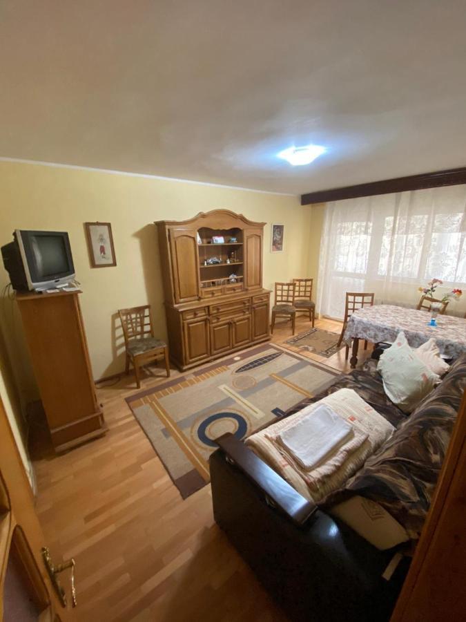 Apartament Slănic-Moldova Zewnętrze zdjęcie